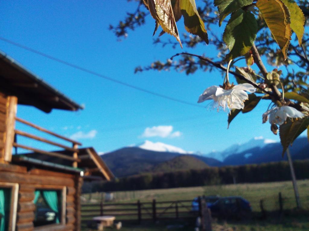Casa Muntelui - Sambata Affittacamere Sîmbăta de Sus Esterno foto