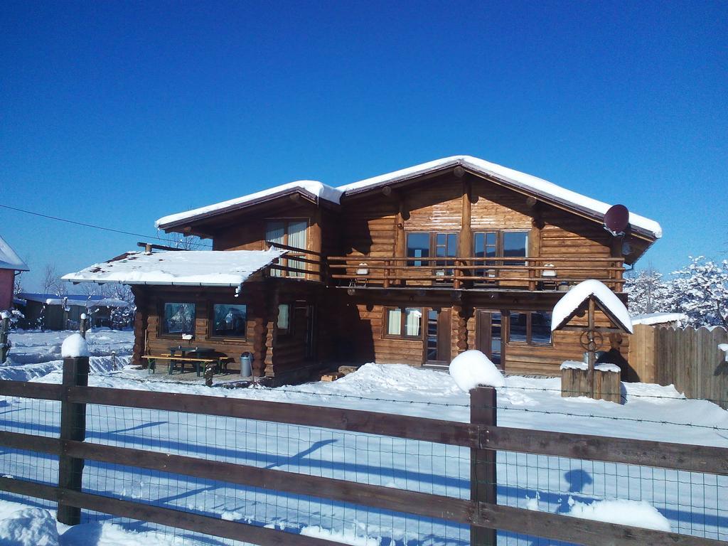 Casa Muntelui - Sambata Affittacamere Sîmbăta de Sus Esterno foto